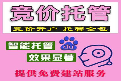 SEM搜索引擎优化案例：揭秘企业品牌知名度提升之道